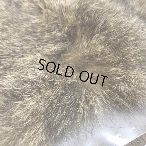 画像3: 【TORNADO】　オポッサムボディ (3)