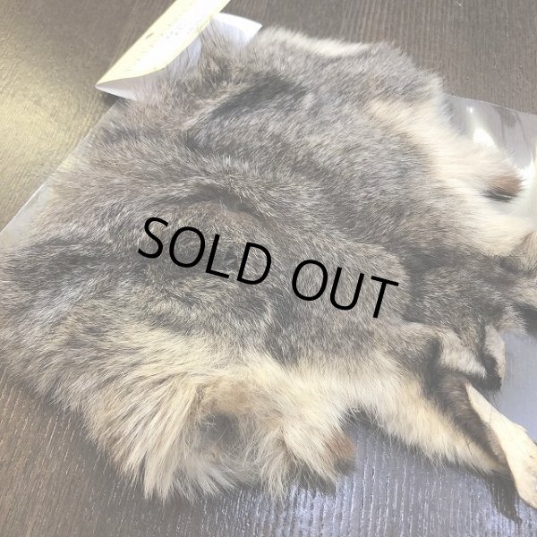 画像2: 【TORNADO】　オポッサムボディ (2)