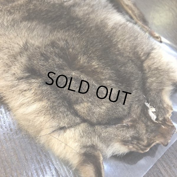 画像3: 【TORNADO】　オポッサムマスク (3)