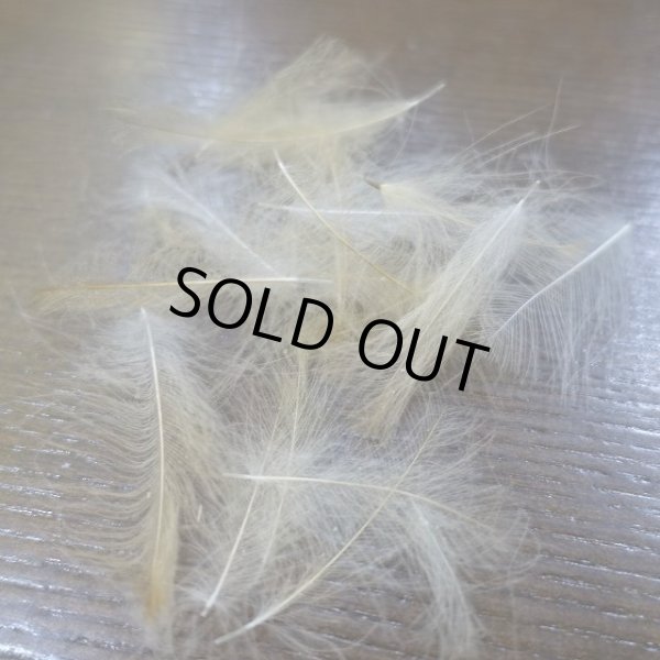 画像3: 【Trout Hunter】 Premium CDC 3.5g (3)