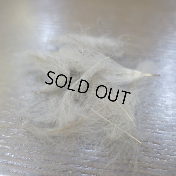 画像2: 【Trout Hunter】 Premium CDC 3.5g (2)