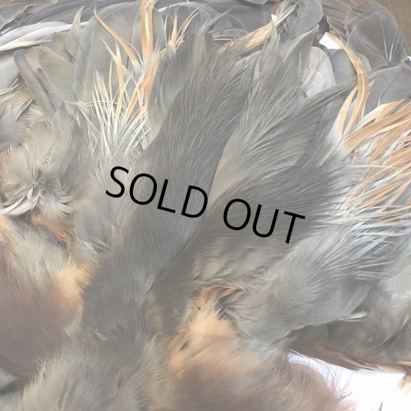 画像5: 【CANAL】 Purple Heron コンプリート (5)