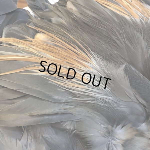 画像6: 【CANAL】 Purple Heron コンプリート (6)