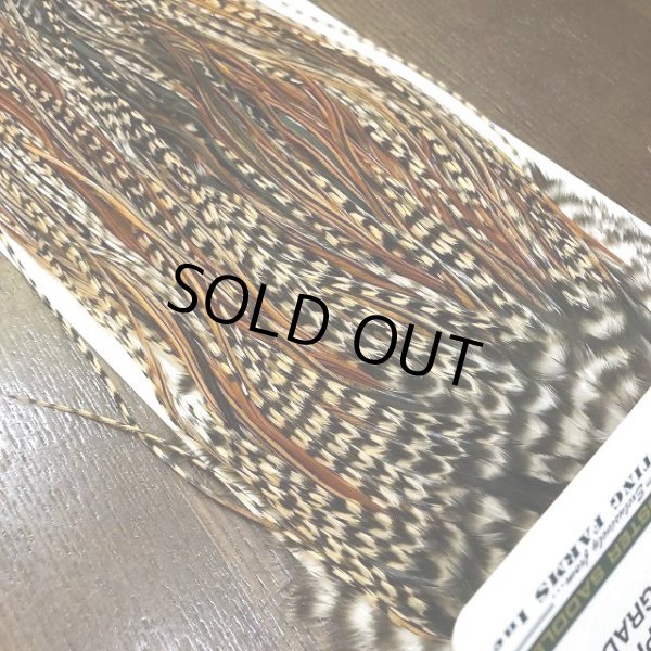 画像4: 【WHITING】 Hebert Pro Grade Saddle Cree No.3 #14 (4)