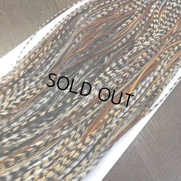 画像3: 【WHITING】 Hebert Pro Grade Saddle Cree No.3 #14 (3)