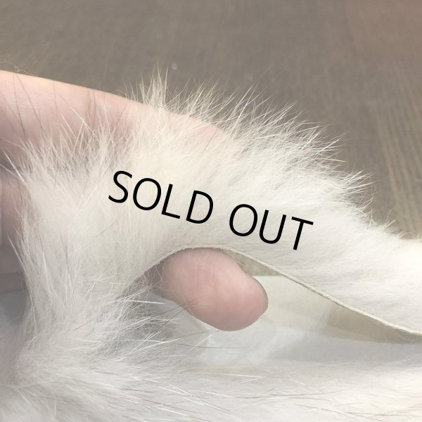 画像4: 【CANAL】BLUE FOX ZONKER (4)