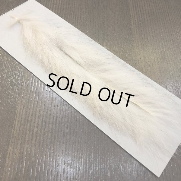 画像3: 【CANAL】BLUE FOX ZONKER (3)