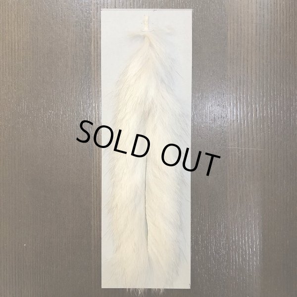 画像2: 【CANAL】BLUE FOX ZONKER (2)