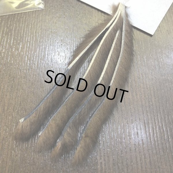 画像3: 【CANAL】 MINK ZONKER (3)