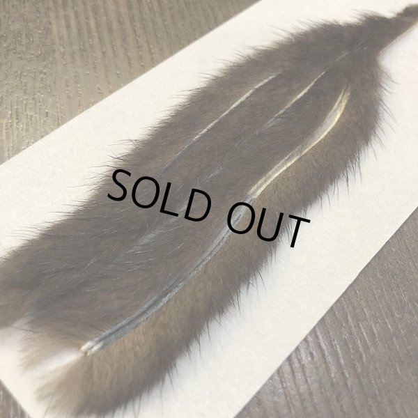 画像2: 【CANAL】 MINK ZONKER (2)