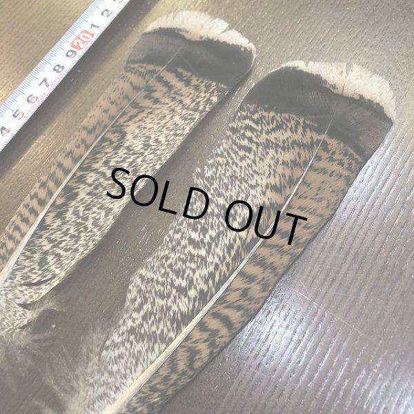 画像2: TURKEY TAIL SMALL No.2(ターキーテイル) (2)