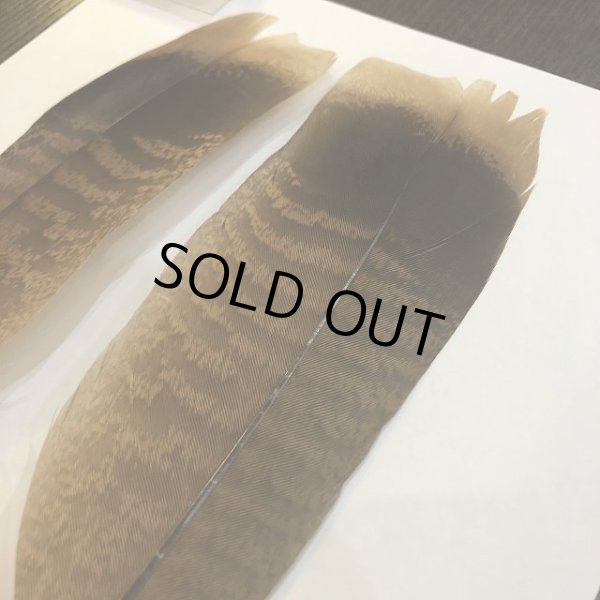 画像2: 【CANAL】 TURKEY TAIL No.2 (2)