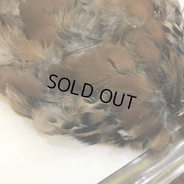 画像2: 【CANAL】 フレンチパートリッジ コンプリート (2)