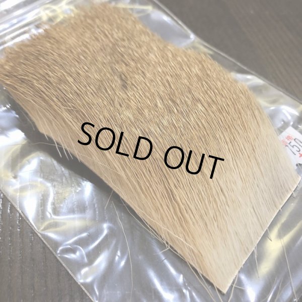 画像2: 【CANAL】 EZO DEER GOLD (2)