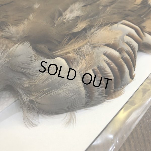 画像3: 【CANAL】 フレンチパートリッジ コンプリート (3)