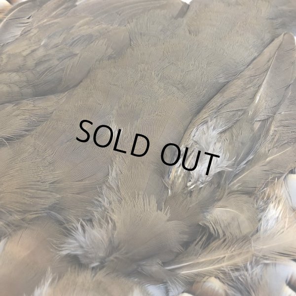 画像4: 【CANAL】 フレンチパートリッジ コンプリート (4)