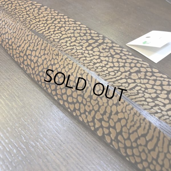 画像2: 【CANAL】Golden Pheasant Tail(1ペア) (2)