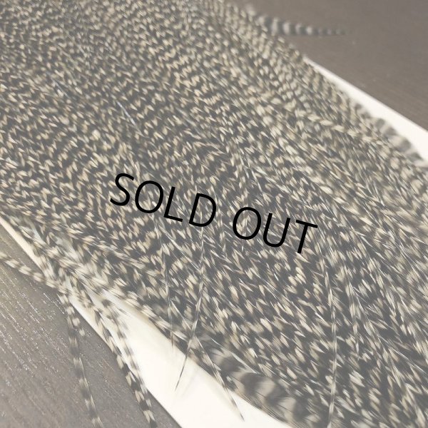 画像2: 【WHITING】 ROOSTER SADDLE BronzeGrade Grizzly #14-16 No.1 (2)