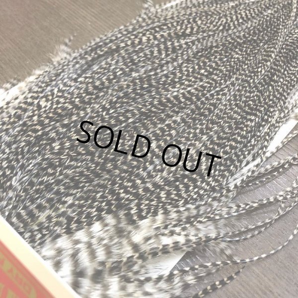 画像3: 【WHITING】 ROOSTER SADDLE BronzeGrade Grizzly #14-16 No.1 (3)