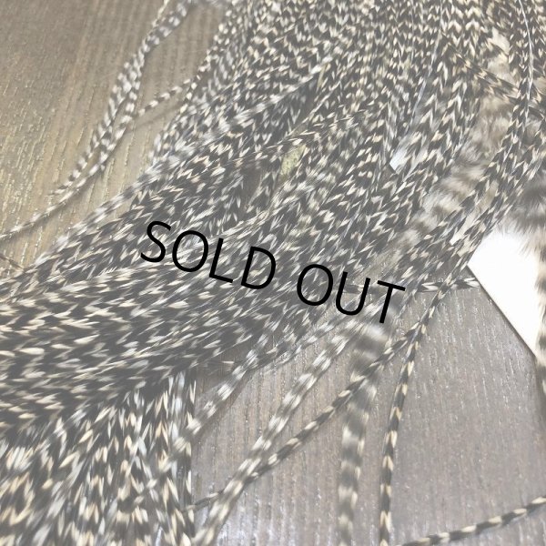 画像4: 【WHITING】 ROOSTER SADDLE BronzeGrade Grizzly #14-16 No.1 (4)