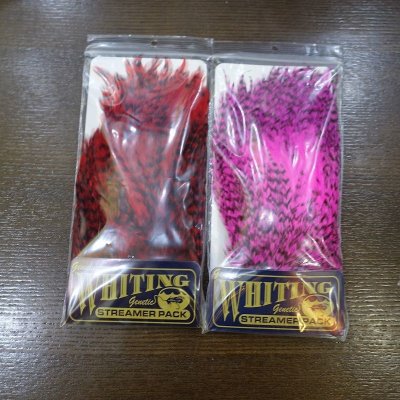 画像3: 【WHITING】American streamer pack