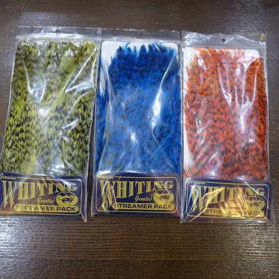 画像2: 【WHITING】American streamer pack