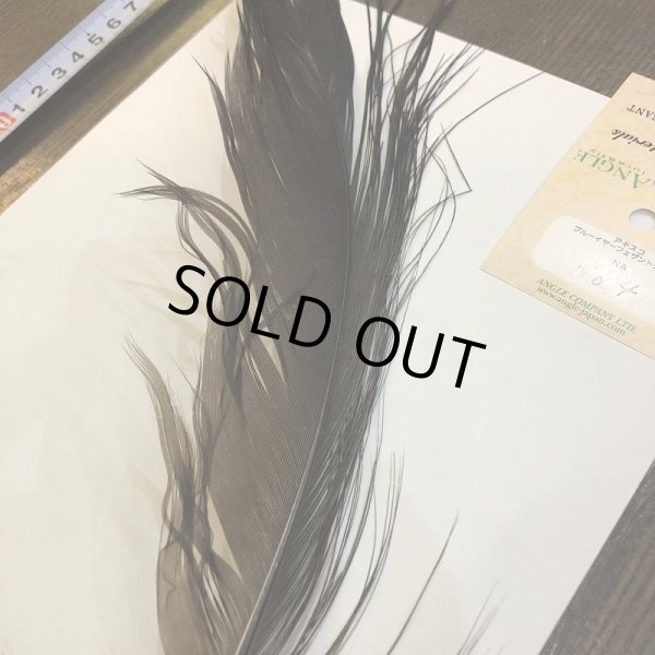 画像2: 【ANGLE】 BlueEared Pheasant tail Lサイズ No.4 (2)