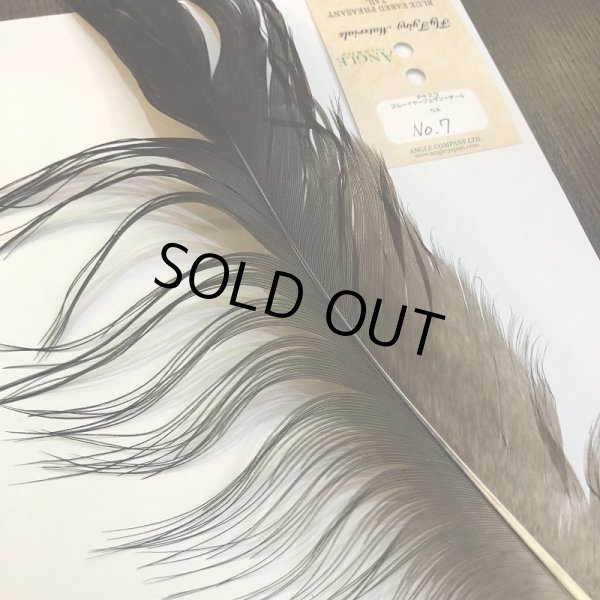 画像2: 【ANGLE】 BlueEared Pheasant tail Lサイズ No.7 (2)