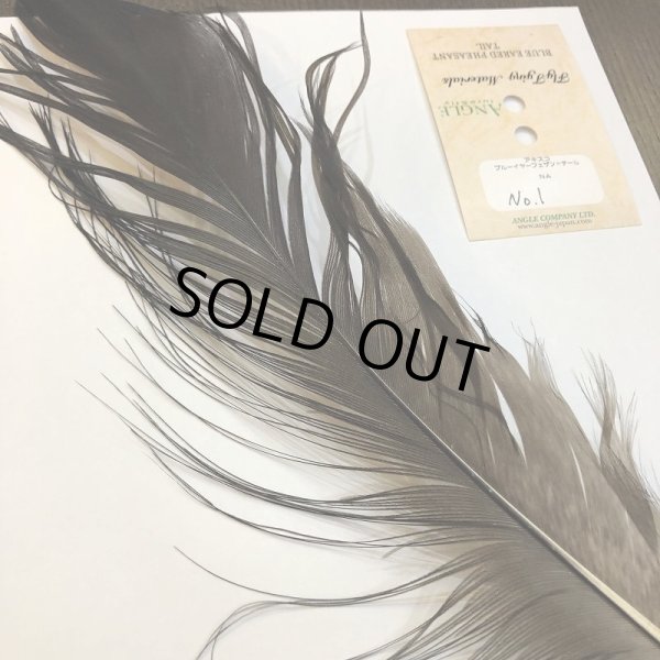 画像2: 【ANGLE】 BlueEared Pheasant tail Lサイズ No.1 (2)