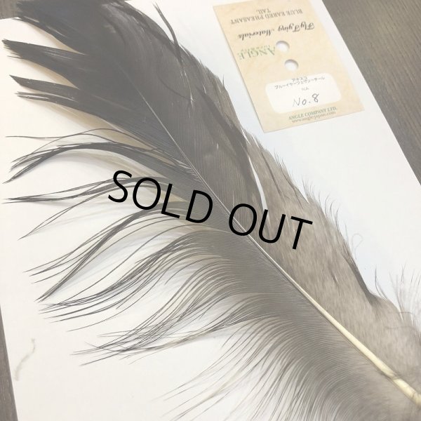 画像2: 【ANGLE】 BlueEared Pheasant tail Lサイズ No.8 (2)