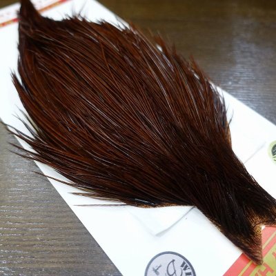 画像1: 【WHITING】 Bronze Grade Cape White Dyed Coachman Brown