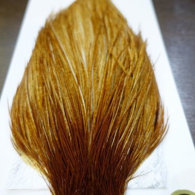 画像2: 【WHITING】ROOSTER Cape Bronze Grade - Medium Ginger No.1