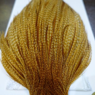 画像2: 【WHITING】 Pro Grade Cape Barred Dark Ginger