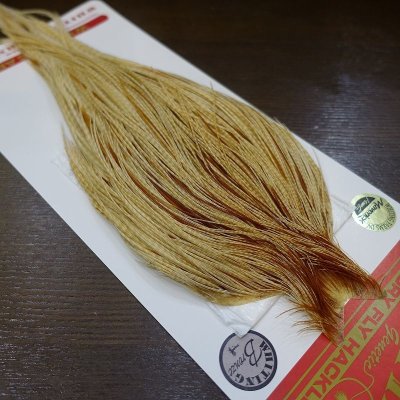 画像1: 【WHITING】 Bronze Grade Cape Barred Medium Ginger