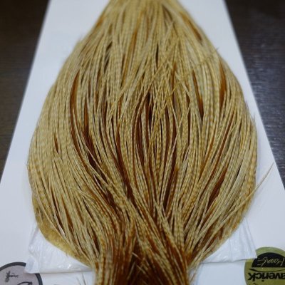 画像2: 【WHITING】 Bronze Grade Cape Barred Medium Ginger