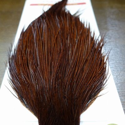 画像2: 【WHITING】 Bronze Grade Cape White Dyed Coachman Brown