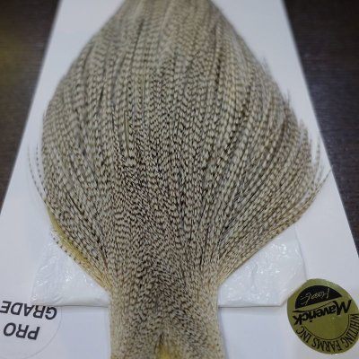 画像2: 【WHITING】 Pro Grade Cape Variant