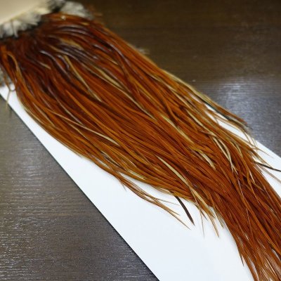 画像1: 【WHITING】 Rooster Saddle Pro Grade Brown #14-16