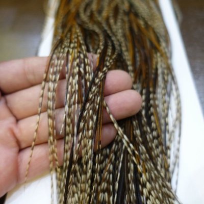 画像3:  【WHITING】 Rooster Saddle Pro Grade Unique Variant #14-16