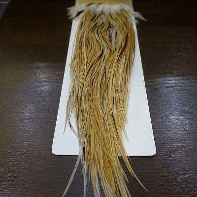 画像2: 【WHITING】 Rooster Saddle BronzeGrade Honey Dun #18