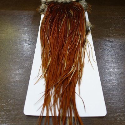 画像2: 【WHITING】 Rooster Saddle Pro Grade Brown #14-16