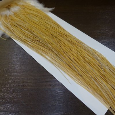 画像1: 【WHITING】 Rooster Saddle BronzeGrade Light ginger #14-16