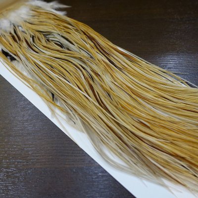 画像1: 【WHITING】 Rooster Saddle BronzeGrade Honey Dun #18