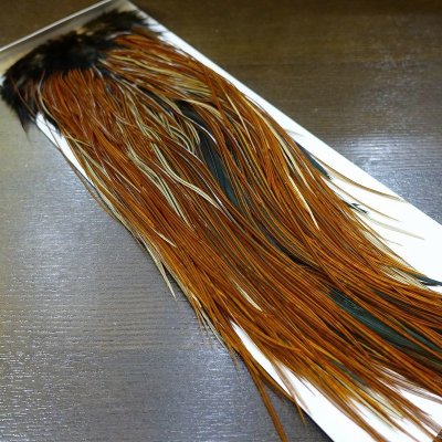 画像1: 【WHITING】 Rooster Saddle Pro Grade Furnace #14-16