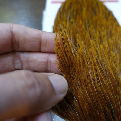 画像3: 【WHITING】 Hen Cape Brown