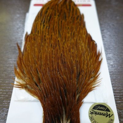 画像1: 【WHITING】 Hen Cape Brown