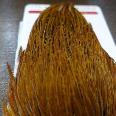 画像2: 【WHITING】 Hen Cape Brown