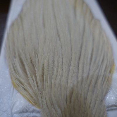 画像2: 【WHITING】 Hen Cape White NO1