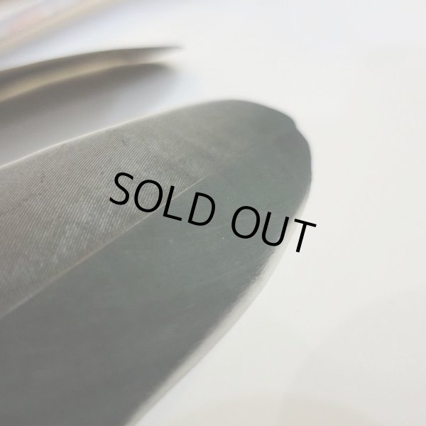 画像4: Marabou Stork ホワイトエッジクイル S(No.1) (4)