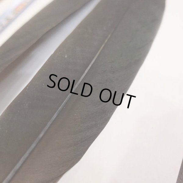 画像2: Marabou Stork ウイングクイル Sサイズ No.2 (2)